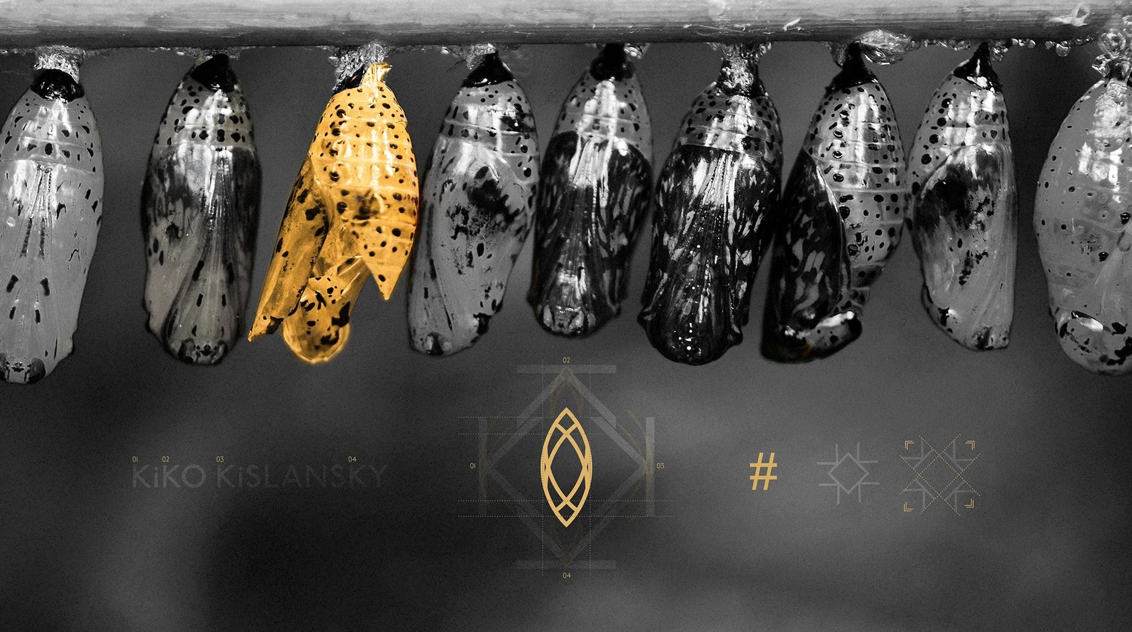 Kiko Kislansky - Harpia Brand | Personal Branding, Company Branding and Product Branding