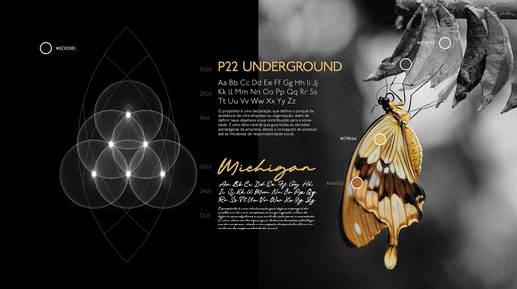 Kiko Kislansky - Harpia Brand | Personal Branding, Company Branding and Product Branding